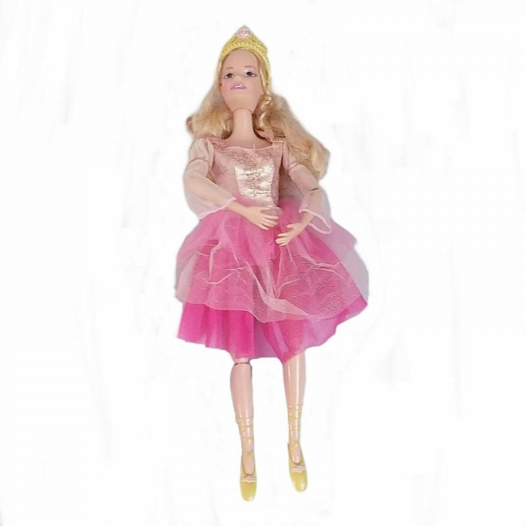 Barbie E As 12 Bailarinas